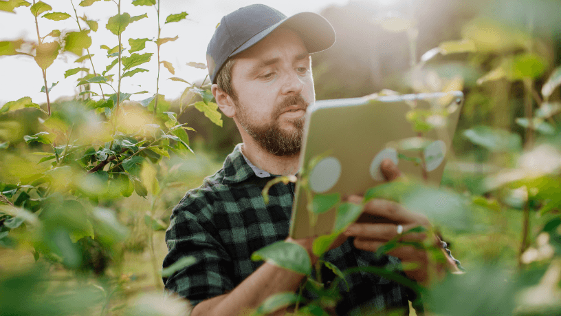 A partir da experiência de João Eustáquio De Almeida Junior, descubra como a internet no meio rural impulsiona eficiência, tecnologia e produtividade agrícola.